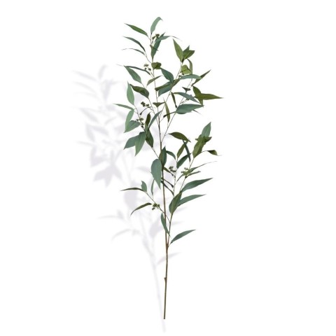 RAMO EUCALIPTO CM126 FROSTED